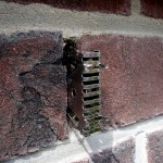 bienenbeisser_einbauen Bienenbeisser in Fugen einbauen