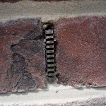 bienenbeisser_eingebaut Fuge mit Bienenbeisser verschlossen