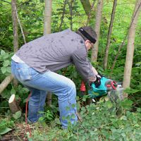 Sicherheit im Garten