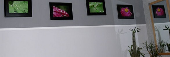 Fotogalerie an der Wand