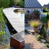 Filterteich im Wechsel der Jahreszeiten