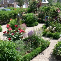 Struktur in einem Bauerngarten