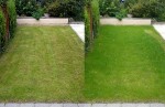 Rasenfläche, links gemäht, rechts vorher