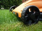 Ansicht im Gras