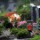 Grabschmuck, Bildrechte Joachim B. Albers - Fotolia.com