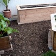 Rindenmulch an Pflanzbeet