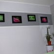 Fotogalerie an der Wand