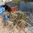Abgeschnittes Röhrricht und Pflanzenreste aus dem Filterteich