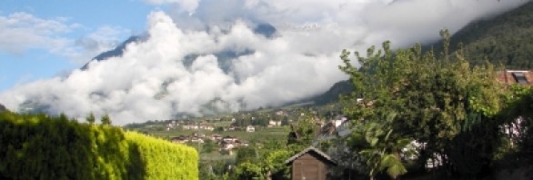 Der eigene Swimmingpool im Garten