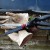 Gartenhandschuh und Gartenschere