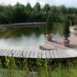Schwimmteich Panorama im Garten
