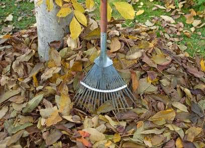 Laubhaufen bieten Tieren Schutz für den Garten im Winter