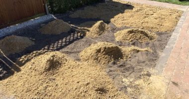 Blumenwiese-Boden-mit-Sand-abmagern