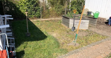 Blumenwiese-Vorarbeiten-und-Rasen-entfernen