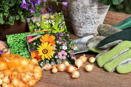 Gartenarbeiten im Sommer