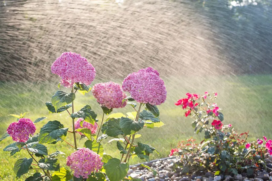 Gartenbewässerung durch haltbare Hydraulikschläuche