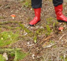 Gummistiefel-rote-Stiefel-Fliegenpilze