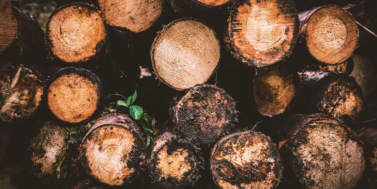 Holz als Baustoff für ein Holzwohnhaus