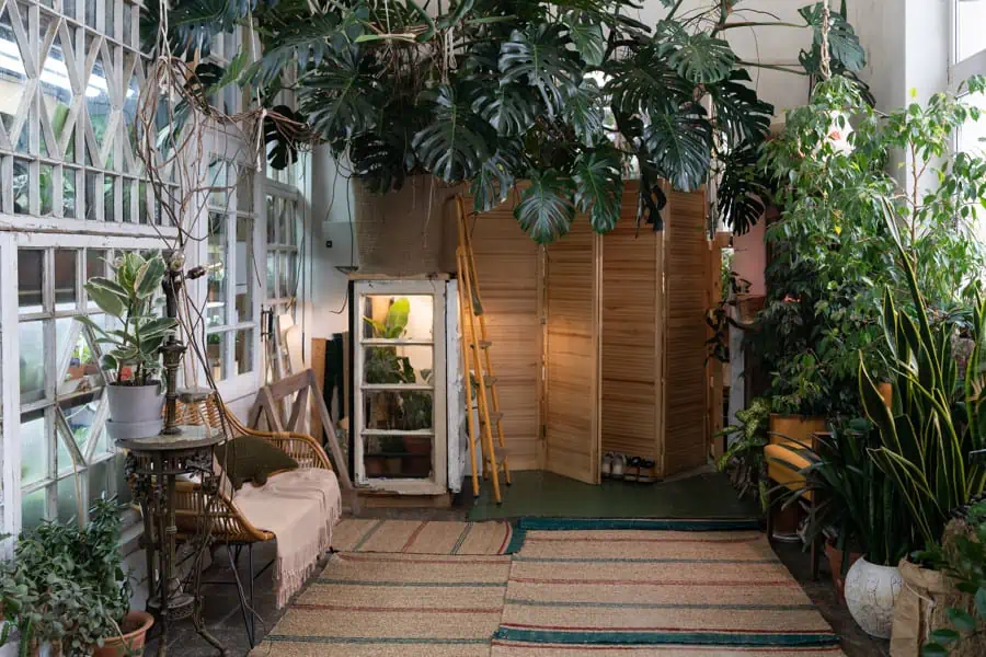Indoor-Dschungel - neuer Trend mit Pflanzen und Cortenstahl-Einfassung