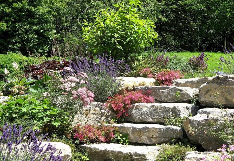Steingarten anlegen für Blüten zwischen Steinen