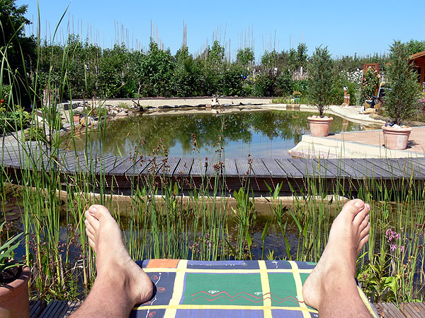 Blick vom Holzdeck über den Teich